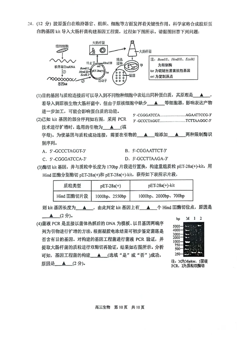 生物试卷_2024-2025高三（6-6月题库）_2024年11月试卷_1116江苏省苏州市2024-2025学年高三上学期11月期中调研（全科）_江苏省苏州市2024-2025学年高三上学期11月期中调研生物