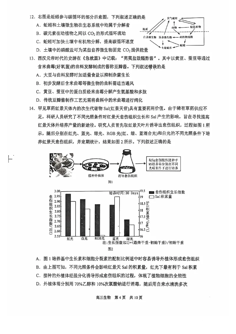生物试卷_2024-2025高三（6-6月题库）_2024年11月试卷_1116江苏省苏州市2024-2025学年高三上学期11月期中调研（全科）_江苏省苏州市2024-2025学年高三上学期11月期中调研生物