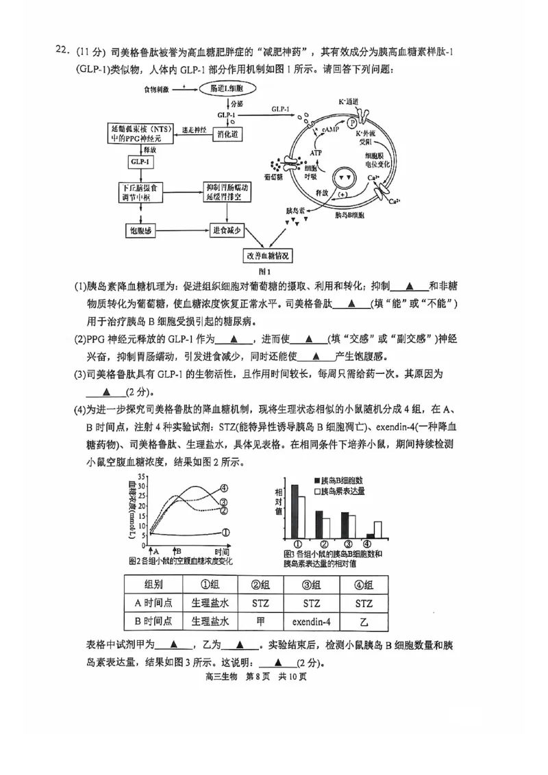 生物试卷_2024-2025高三（6-6月题库）_2024年11月试卷_1116江苏省苏州市2024-2025学年高三上学期11月期中调研（全科）_江苏省苏州市2024-2025学年高三上学期11月期中调研生物