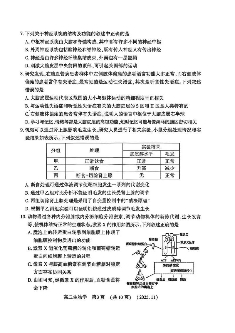 河南省洛阳市2025-2026学年高二上学期11月期中生物试题含答案_2025年11月高二试卷_251126河南省洛阳市2025-2026学年高二上学期期中考试（全）