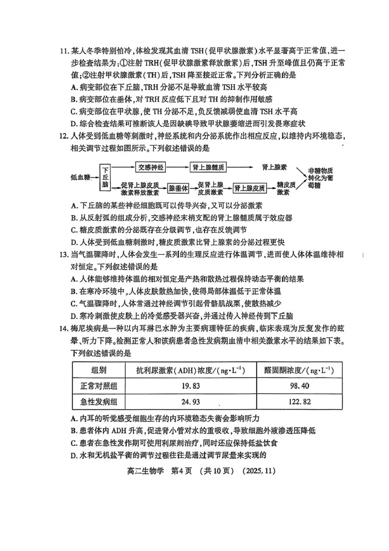 河南省洛阳市2025-2026学年高二上学期11月期中生物试题含答案_2025年11月高二试卷_251126河南省洛阳市2025-2026学年高二上学期期中考试（全）