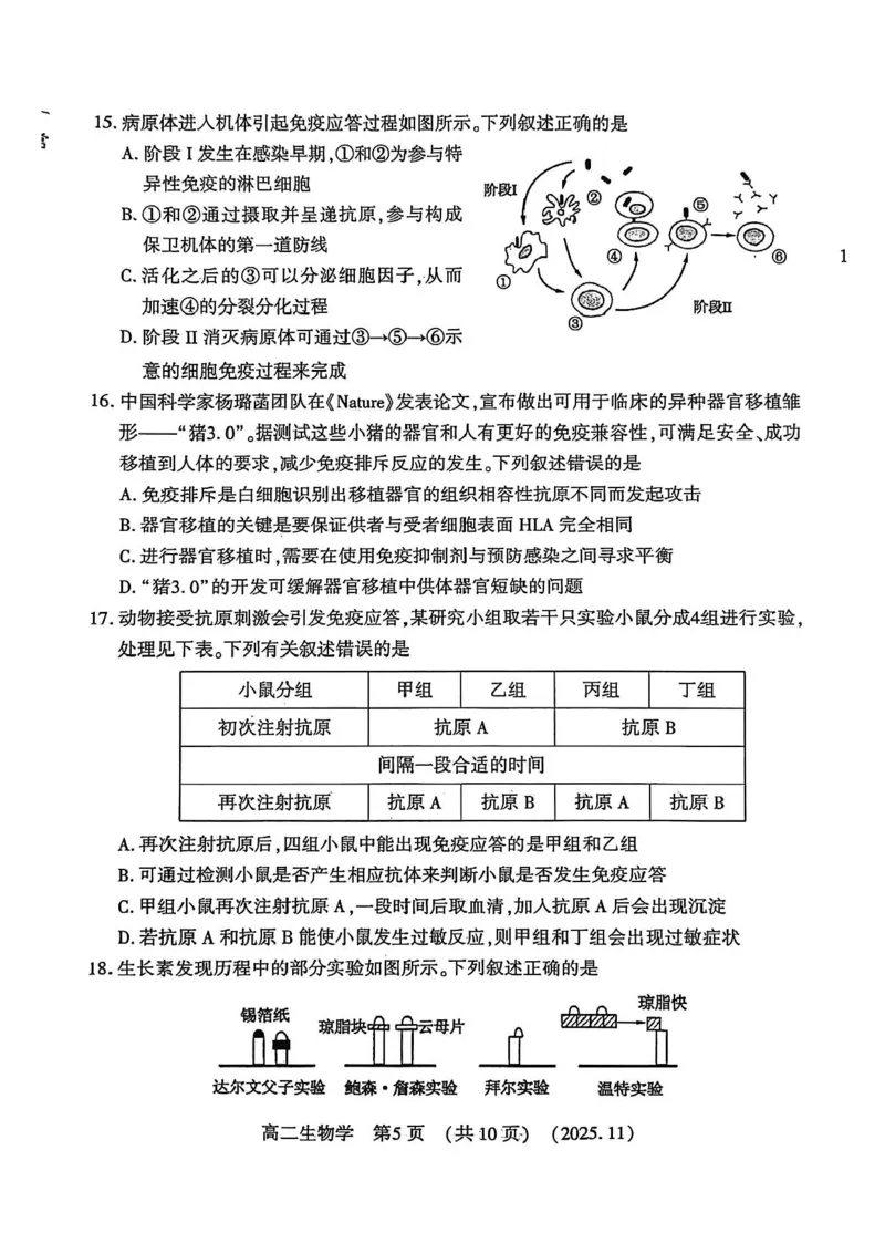 河南省洛阳市2025-2026学年高二上学期11月期中生物试题含答案_2025年11月高二试卷_251126河南省洛阳市2025-2026学年高二上学期期中考试（全）
