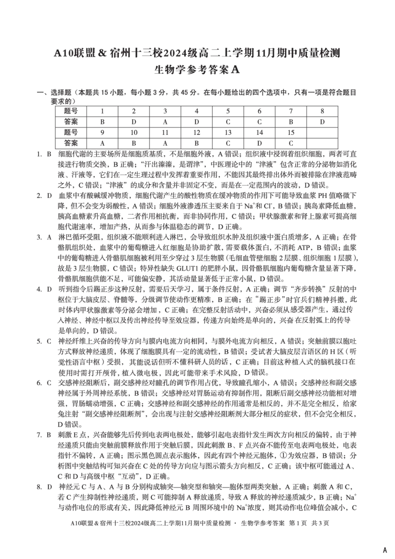 生物学答案（A卷）A10联盟＆宿州十三校2024级高二上学期11月期中质量检测生物学答案A_2025年11月高二试卷_251124安徽省A10联盟＆宿州十三校2024级高二上学期11月期中质量检测（全）