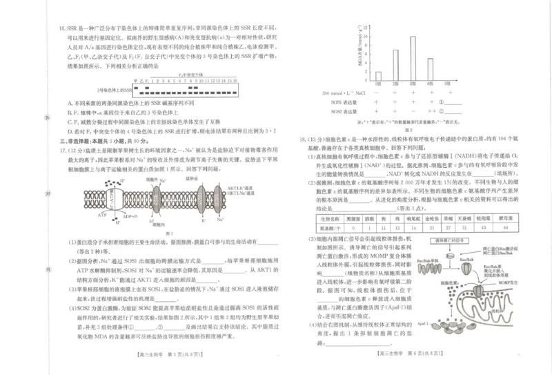 江西省2026届高三上学期10月联考（26-42C）生物_2024-2026高三（6-6月题库）_2025年10月高三试卷_251028金太阳&middot;江西省2026届高三上学期10月联考（26-42C）（全科)