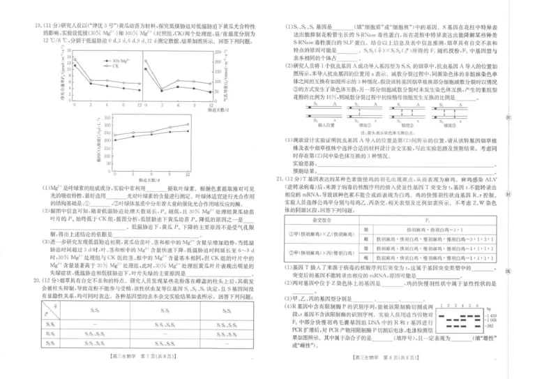 江西省2026届高三上学期10月联考（26-42C）生物_2024-2026高三（6-6月题库）_2025年10月高三试卷_251028金太阳&middot;江西省2026届高三上学期10月联考（26-42C）（全科)
