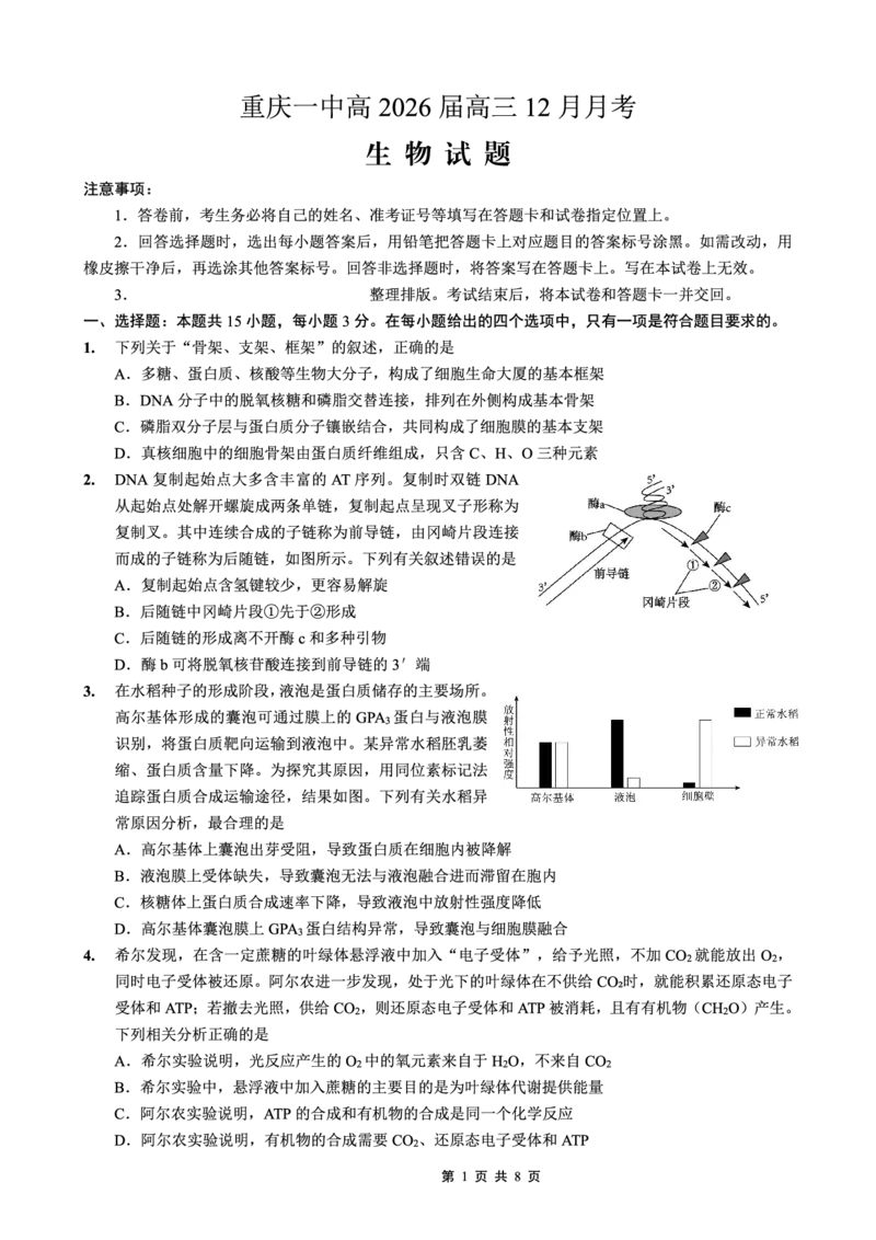 重庆市第一中学校2025-2026学年高三上学期12月月考生物_2024-2026高三（6-6月题库）_2026年01月高三试卷_0104重庆市第一中学校2025-2026学年高三上学期12月月考（全）