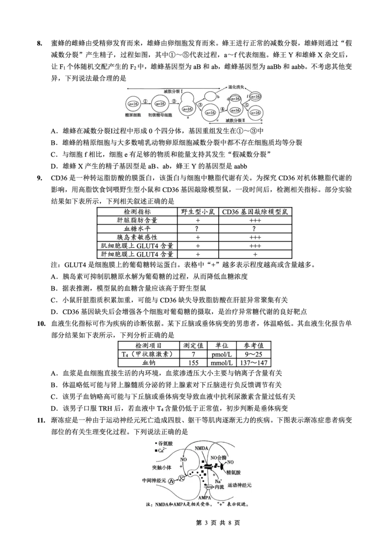 重庆市第一中学校2025-2026学年高三上学期12月月考生物_2024-2026高三（6-6月题库）_2026年01月高三试卷_0104重庆市第一中学校2025-2026学年高三上学期12月月考（全）