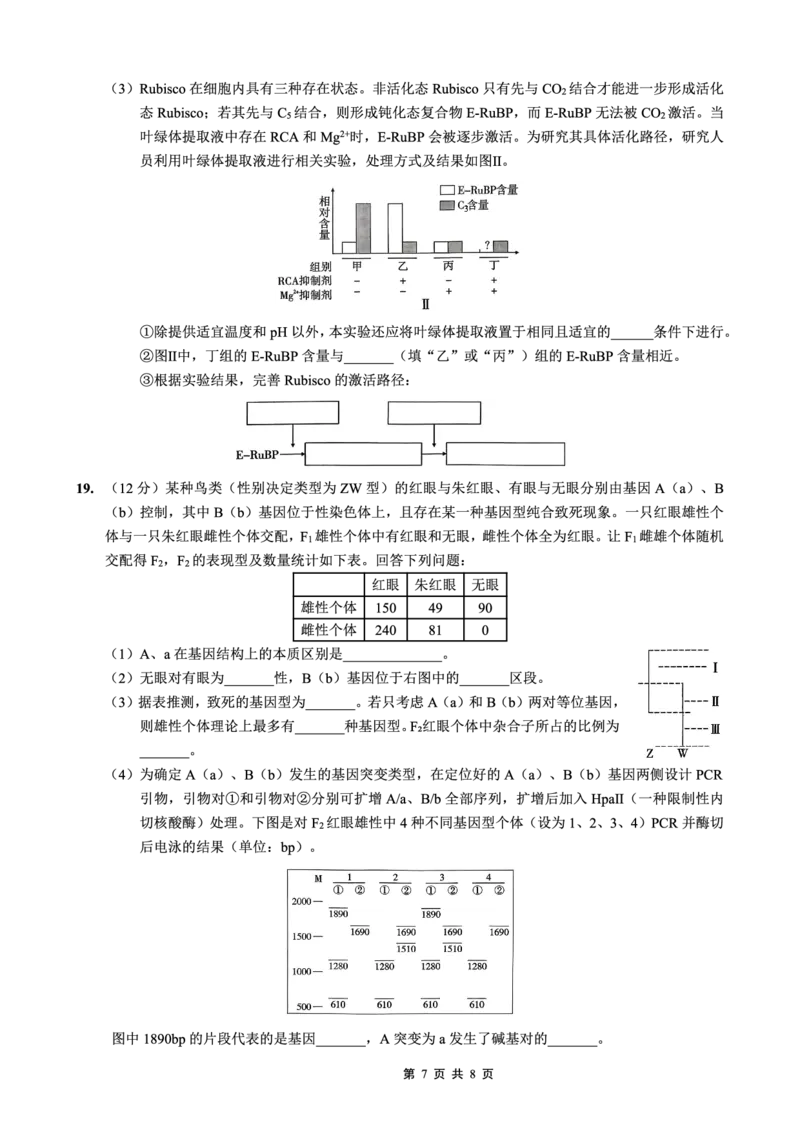 重庆市第一中学校2025-2026学年高三上学期12月月考生物_2024-2026高三（6-6月题库）_2026年01月高三试卷_0104重庆市第一中学校2025-2026学年高三上学期12月月考（全）