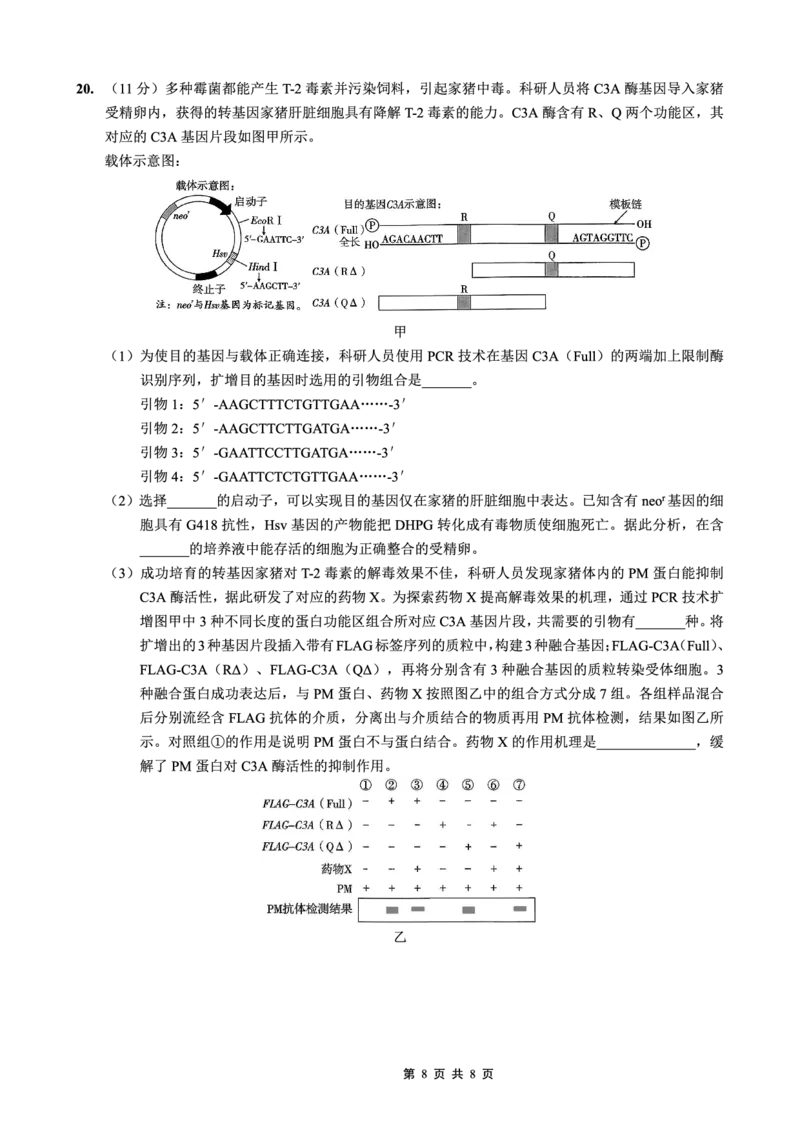 重庆市第一中学校2025-2026学年高三上学期12月月考生物_2024-2026高三（6-6月题库）_2026年01月高三试卷_0104重庆市第一中学校2025-2026学年高三上学期12月月考（全）