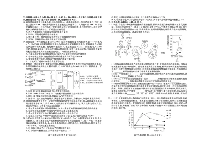 生物-山东新高考联合质量测评9月联考（开学考）_2024-2025高三（6-6月题库）_2024年09月试卷_0906山东省新高考联合质量测评9月联考（开学考）