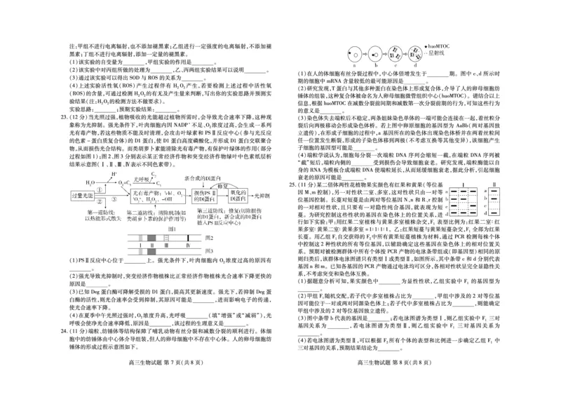 生物-山东新高考联合质量测评9月联考（开学考）_2024-2025高三（6-6月题库）_2024年09月试卷_0906山东省新高考联合质量测评9月联考（开学考）