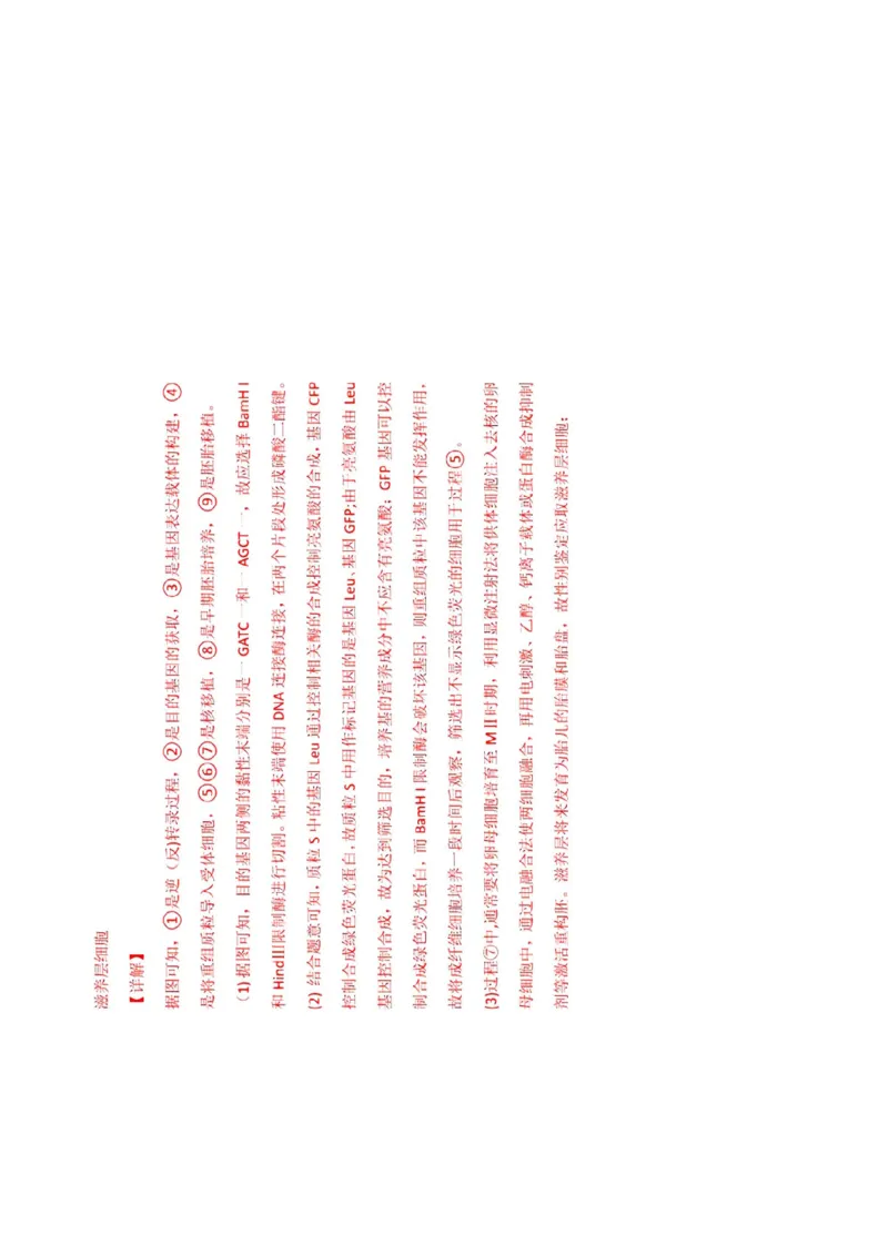 生物答案_2024-2025高三（6-6月题库）_2024年12月试卷_1208湖北省市级示范高中智学联盟2024-2025学年高三上学期12月月考_湖北省市级示范高中智学联盟2024-2025学年高三上学期12月月考生物