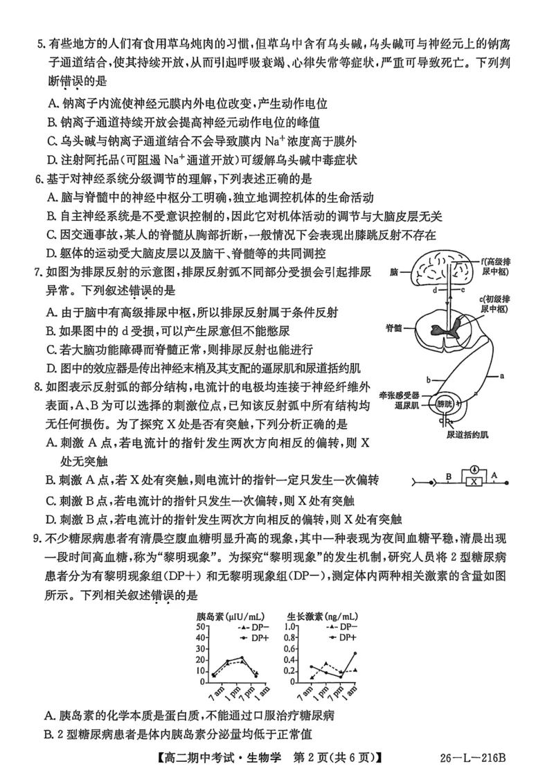 安徽省县中联盟2025-2026学年第一学期高二期中考试（26-L-216B）-生物_2025年11月高二试卷_251122安徽省县中联盟2025-2026学年第一学期高二期中考试（26-L-216B）（全）