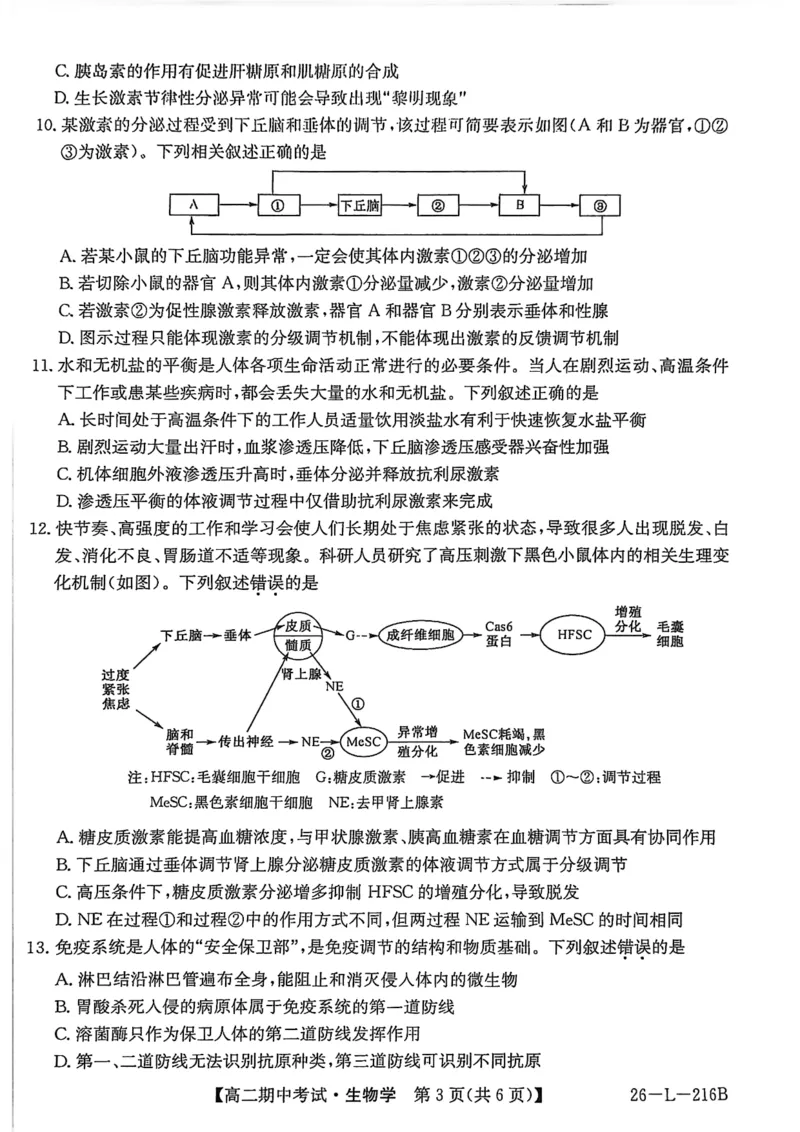 安徽省县中联盟2025-2026学年第一学期高二期中考试（26-L-216B）-生物_2025年11月高二试卷_251122安徽省县中联盟2025-2026学年第一学期高二期中考试（26-L-216B）（全）