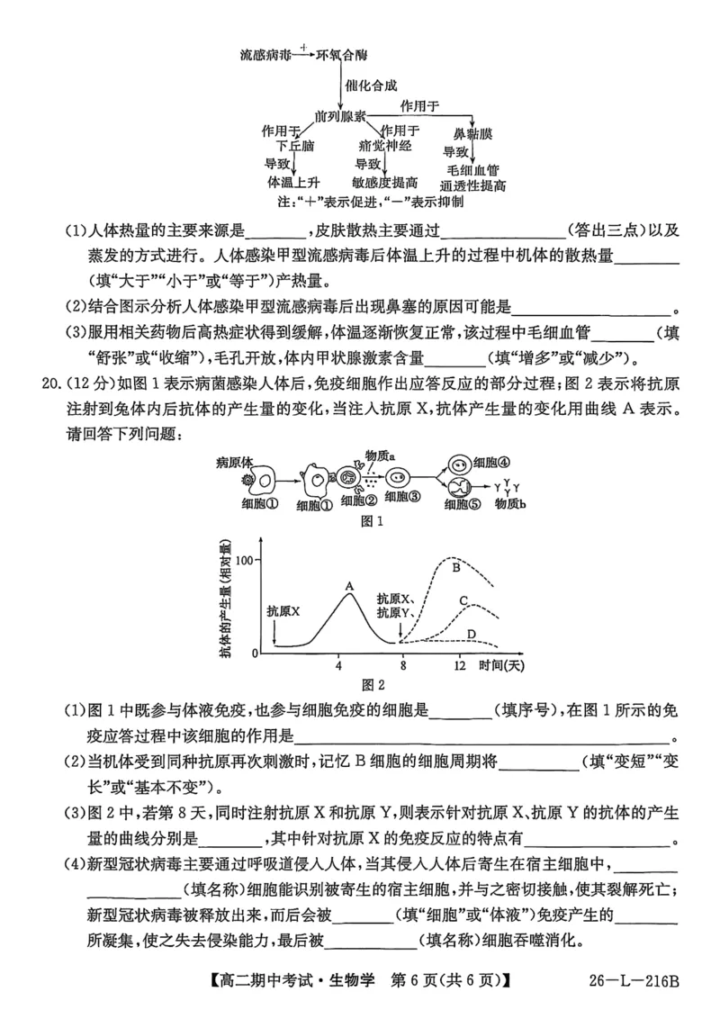 安徽省县中联盟2025-2026学年第一学期高二期中考试（26-L-216B）-生物_2025年11月高二试卷_251122安徽省县中联盟2025-2026学年第一学期高二期中考试（26-L-216B）（全）