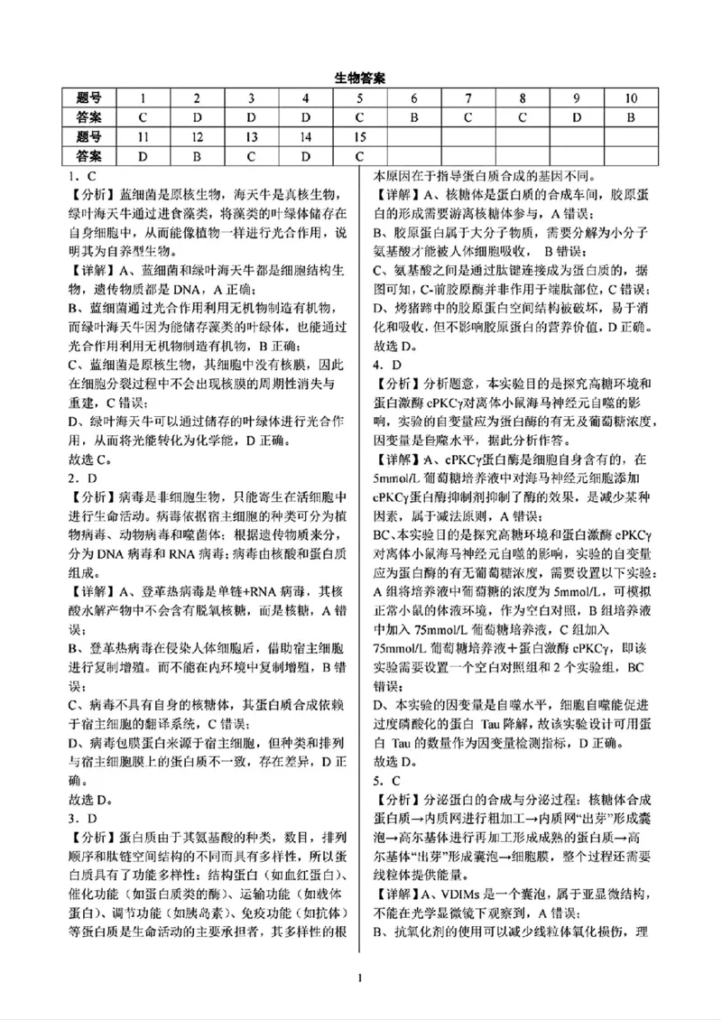 生物答案_2024-2025高三（6-6月题库）_2024年10月试卷_1008重庆市西南大学附属中学、重庆育才中学、万州高级中学、鲁能巴蜀中学高2025届拔尖强基联盟高三上10月联合考试