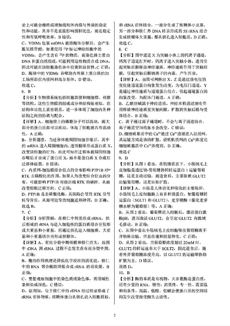 生物答案_2024-2025高三（6-6月题库）_2024年10月试卷_1008重庆市西南大学附属中学、重庆育才中学、万州高级中学、鲁能巴蜀中学高2025届拔尖强基联盟高三上10月联合考试