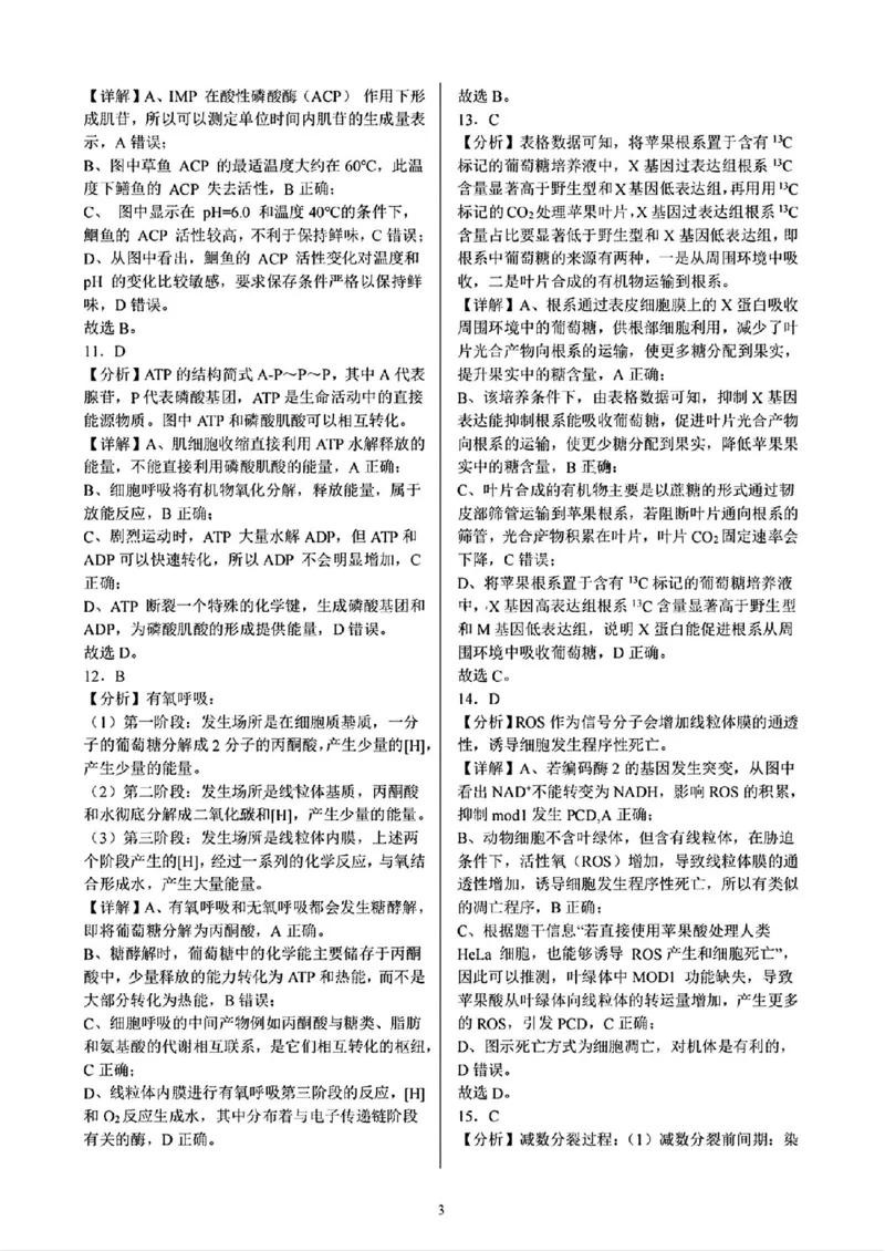 生物答案_2024-2025高三（6-6月题库）_2024年10月试卷_1008重庆市西南大学附属中学、重庆育才中学、万州高级中学、鲁能巴蜀中学高2025届拔尖强基联盟高三上10月联合考试