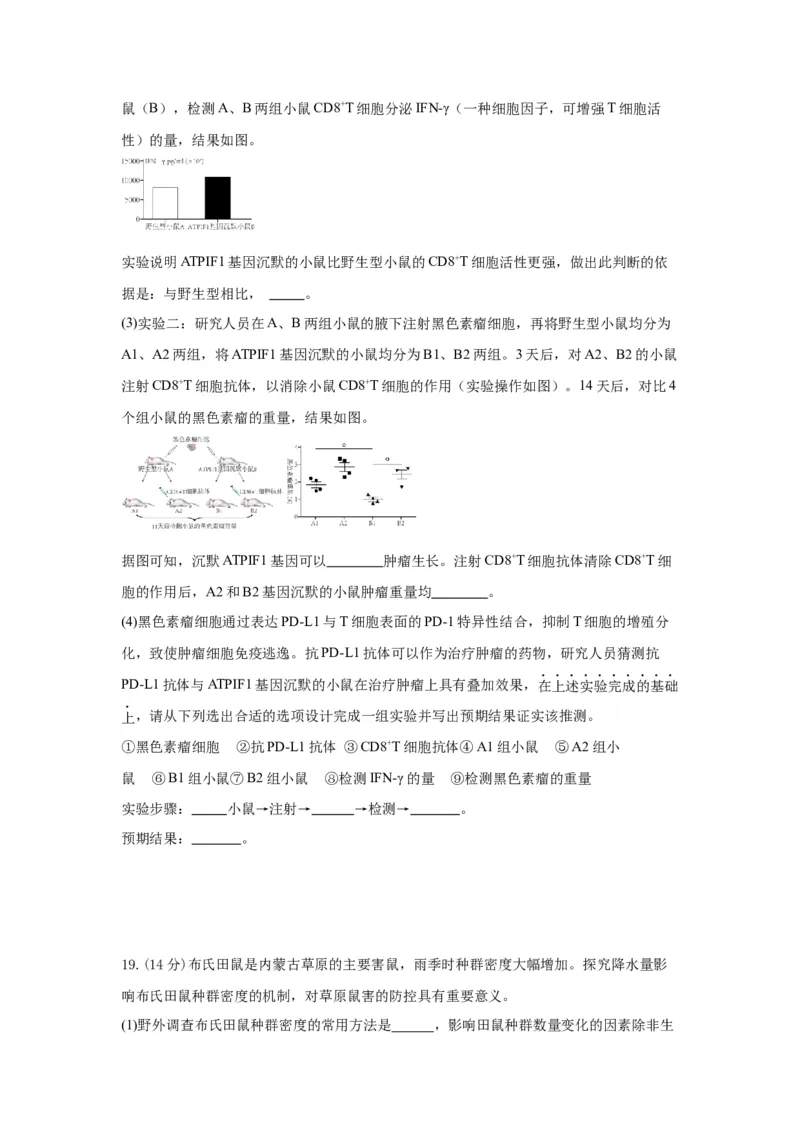 陕西省西安市部分学校2024-2025学年高二上学期12月联考试题生物Word版含答案_2024-2025高二（7-7月题库）_2024年12月试卷_1224陕西省西安市部分学校2024-2025学年高二上学期12月联考