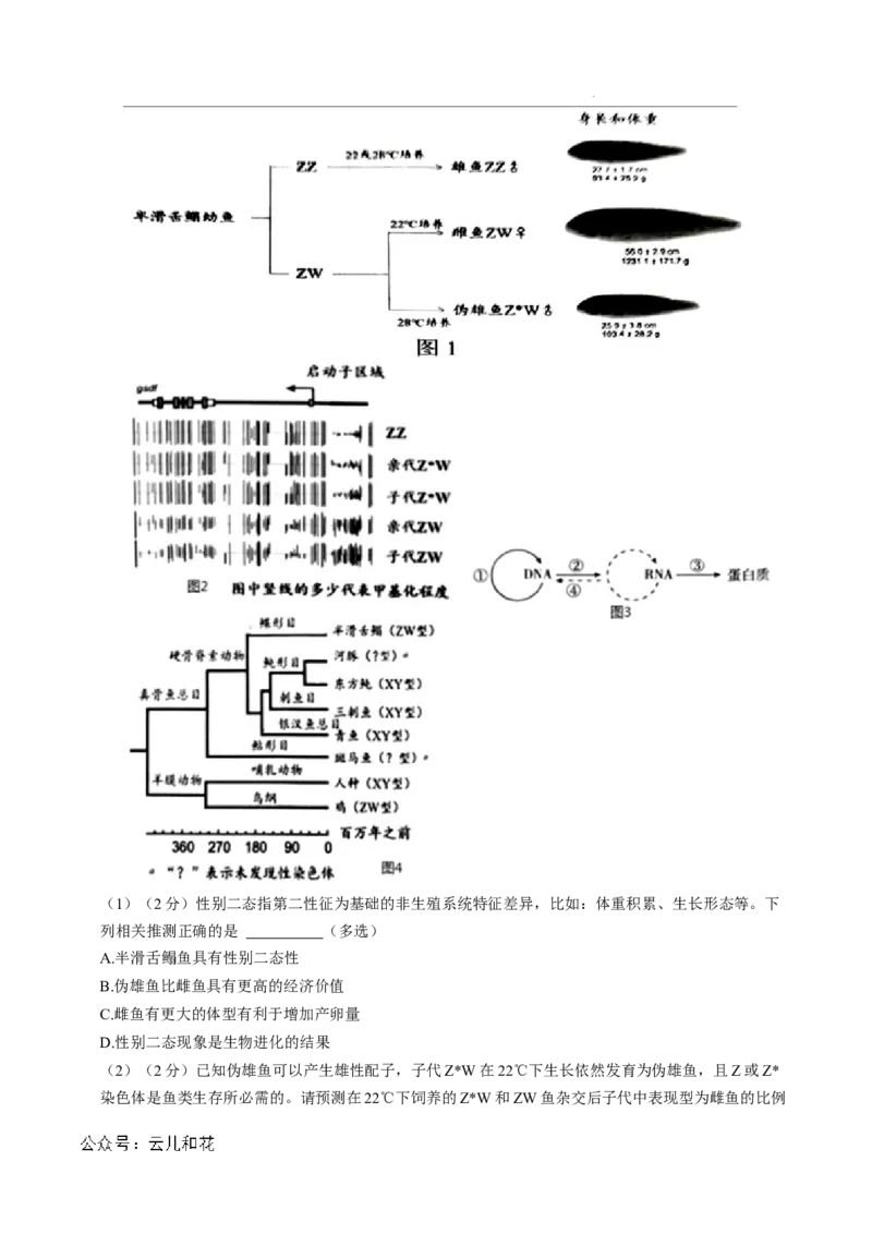 高二生物第一次月考卷（全解全析）（上海专用）_2024年09月试卷_0922黄金卷：2024-2025学年高二上学期第一次月考9科word解析版含答题卡（上海专用）