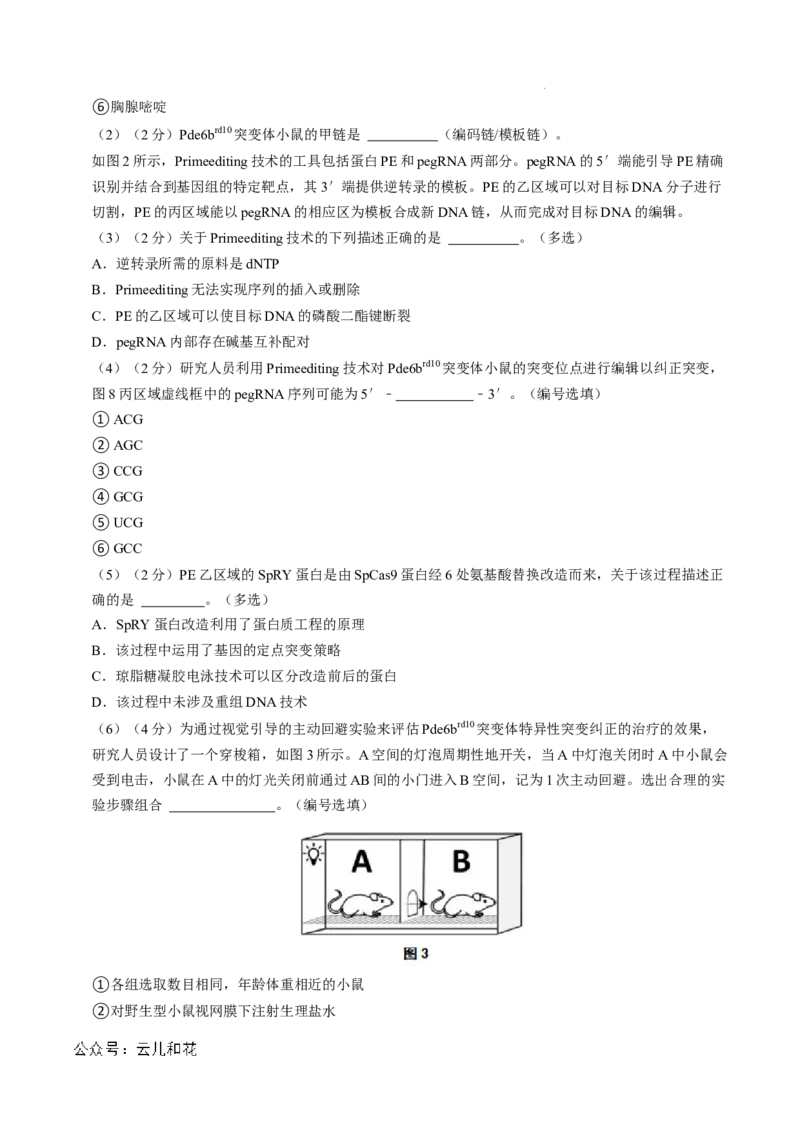 高二生物第一次月考卷（全解全析）（上海专用）_2024年09月试卷_0922黄金卷：2024-2025学年高二上学期第一次月考9科word解析版含答题卡（上海专用）