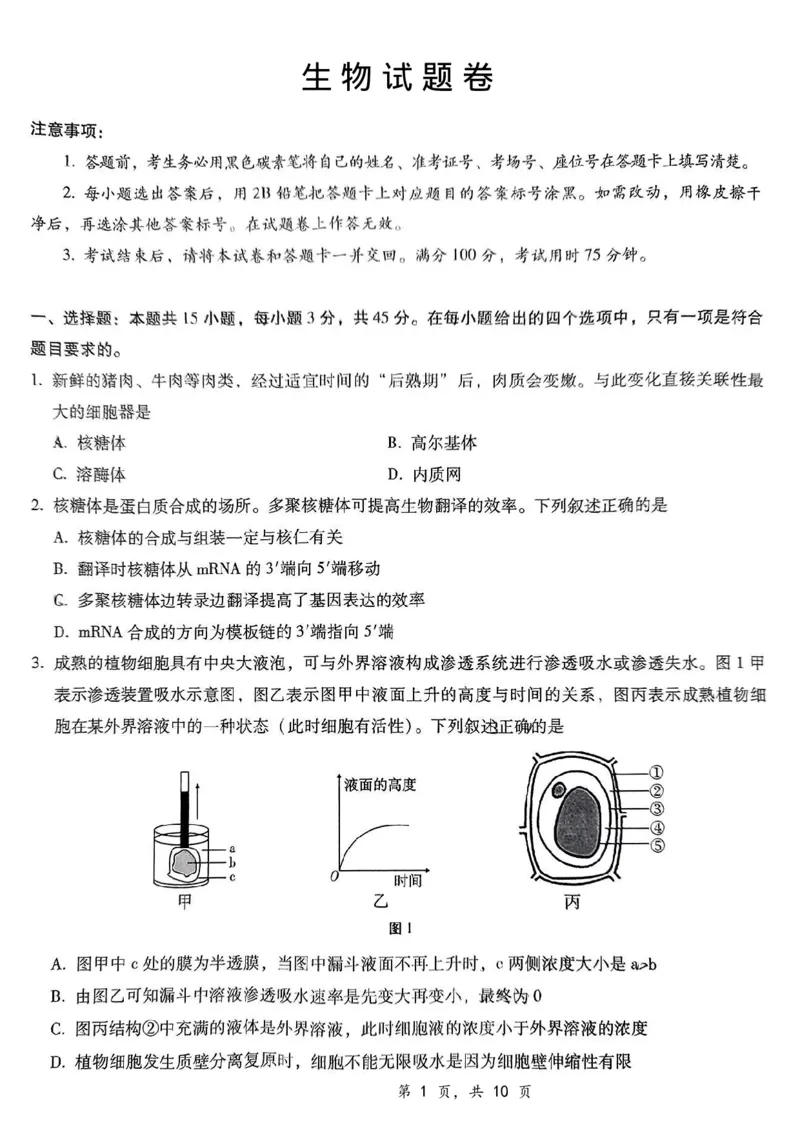 重庆市第八中学2025届高三12月适应性月考（四）生物_2024-2025高三（6-6月题库）_2024年12月试卷_1224重庆市第八中学2025届高三12月适应性月考（四）（全科）