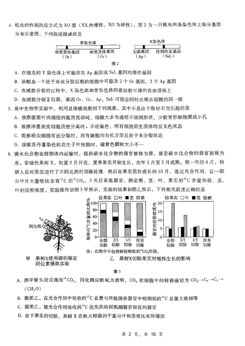 重庆市第八中学2025届高三12月适应性月考（四）生物_2024-2025高三（6-6月题库）_2024年12月试卷_1224重庆市第八中学2025届高三12月适应性月考（四）（全科）