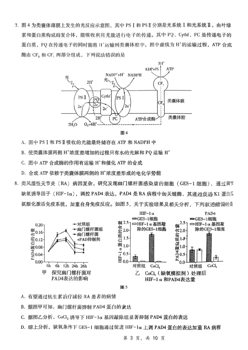 重庆市第八中学2025届高三12月适应性月考（四）生物_2024-2025高三（6-6月题库）_2024年12月试卷_1224重庆市第八中学2025届高三12月适应性月考（四）（全科）