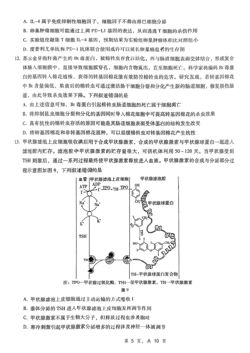 重庆市第八中学2025届高三12月适应性月考（四）生物_2024-2025高三（6-6月题库）_2024年12月试卷_1224重庆市第八中学2025届高三12月适应性月考（四）（全科）