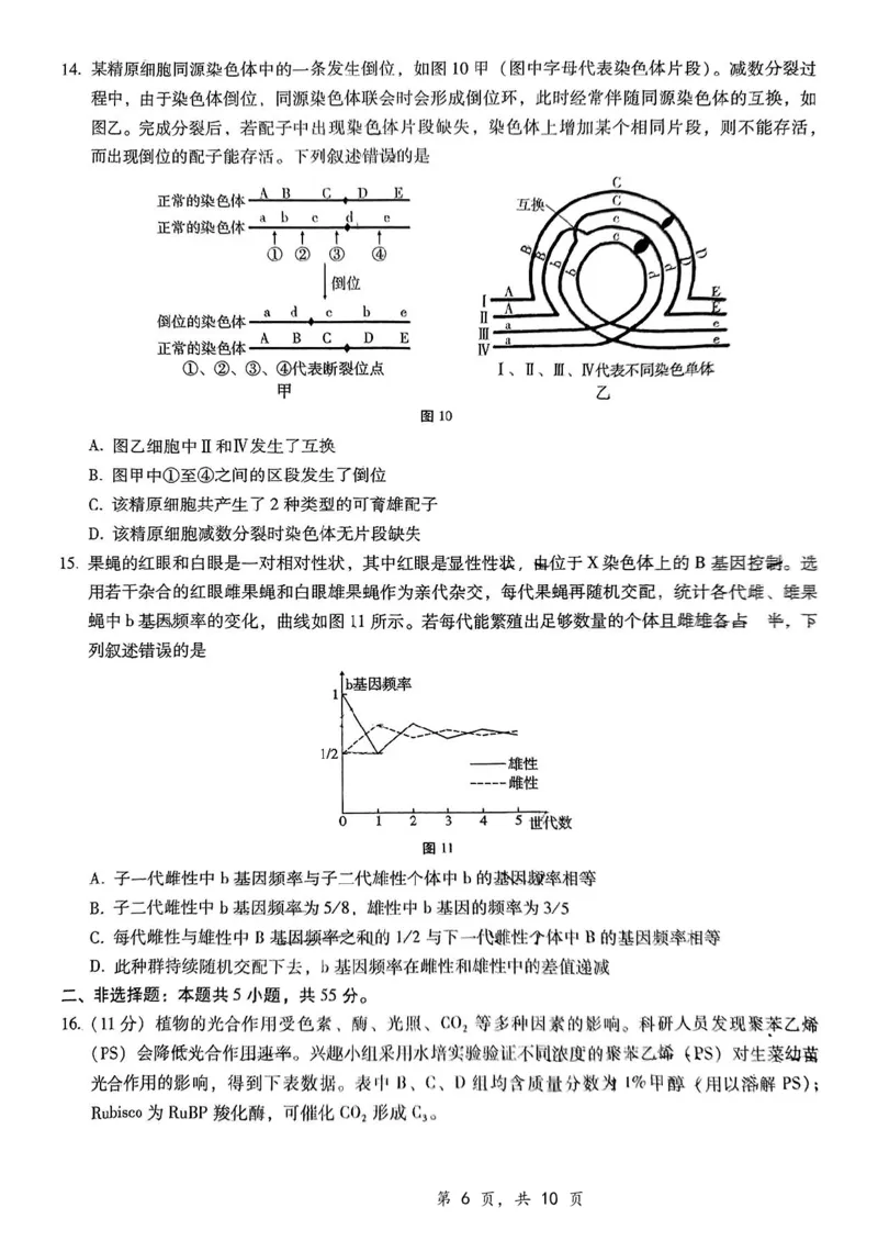 重庆市第八中学2025届高三12月适应性月考（四）生物_2024-2025高三（6-6月题库）_2024年12月试卷_1224重庆市第八中学2025届高三12月适应性月考（四）（全科）