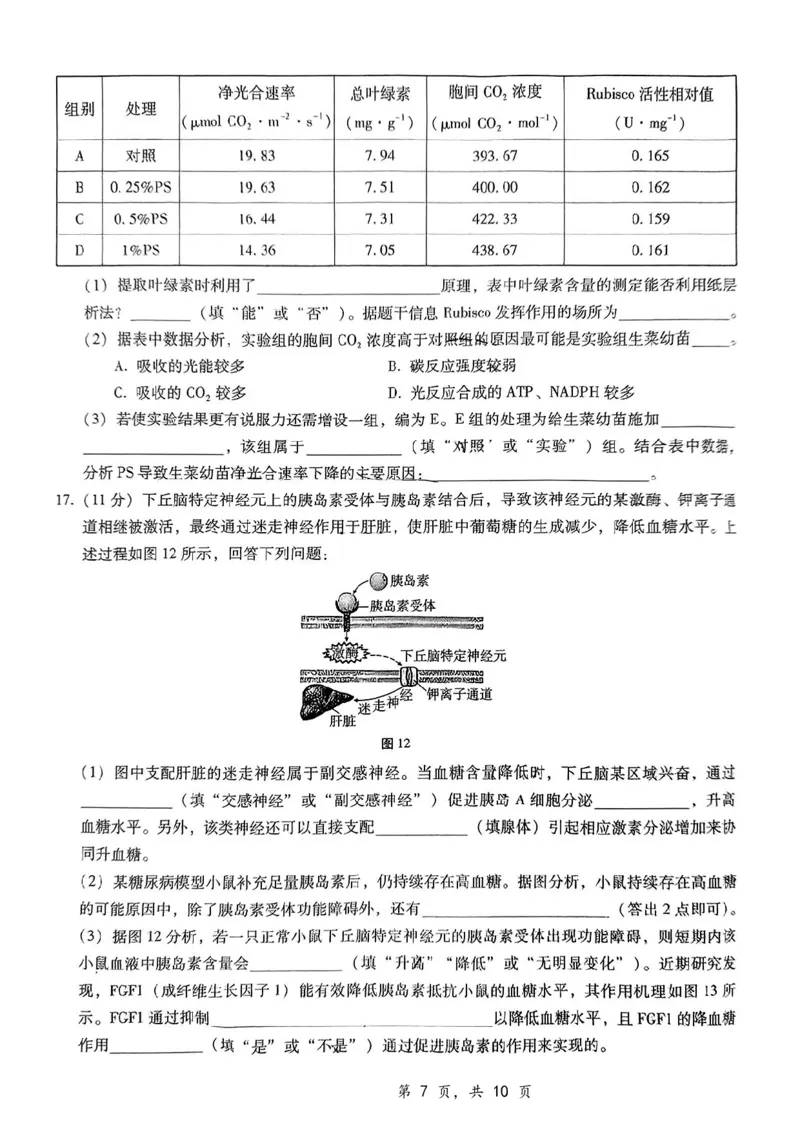 重庆市第八中学2025届高三12月适应性月考（四）生物_2024-2025高三（6-6月题库）_2024年12月试卷_1224重庆市第八中学2025届高三12月适应性月考（四）（全科）