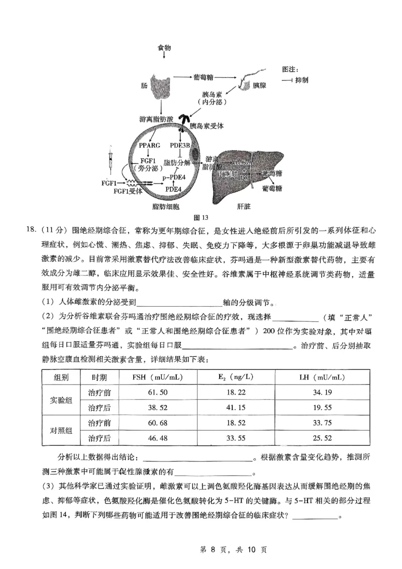 重庆市第八中学2025届高三12月适应性月考（四）生物_2024-2025高三（6-6月题库）_2024年12月试卷_1224重庆市第八中学2025届高三12月适应性月考（四）（全科）