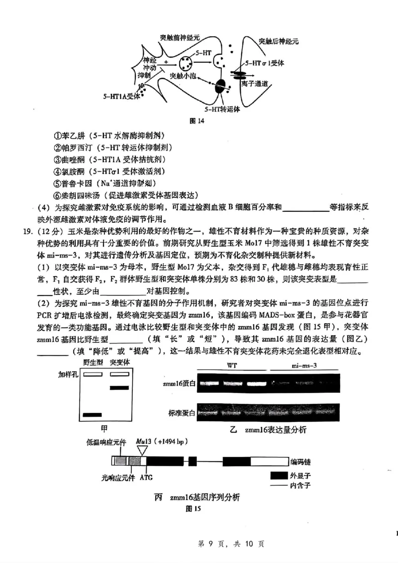 重庆市第八中学2025届高三12月适应性月考（四）生物_2024-2025高三（6-6月题库）_2024年12月试卷_1224重庆市第八中学2025届高三12月适应性月考（四）（全科）