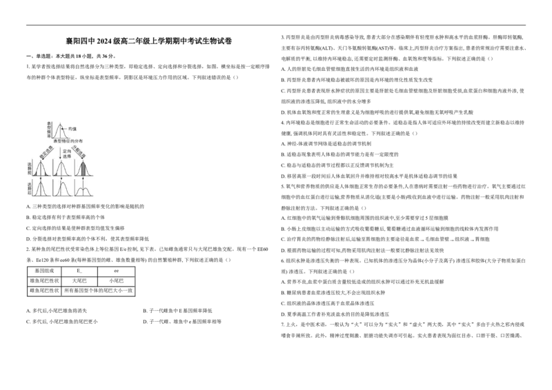 湖北省襄阳市第四中学2025-2026学年高二上学期11月期中生物试题（含解析）_251204湖北省襄阳市第四中学2025-2026学年高二上学期11月期中（全）