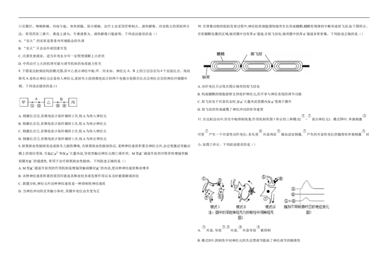 湖北省襄阳市第四中学2025-2026学年高二上学期11月期中生物试题（含解析）_251204湖北省襄阳市第四中学2025-2026学年高二上学期11月期中（全）