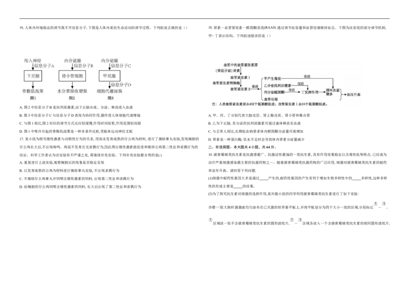 湖北省襄阳市第四中学2025-2026学年高二上学期11月期中生物试题（含解析）_251204湖北省襄阳市第四中学2025-2026学年高二上学期11月期中（全）