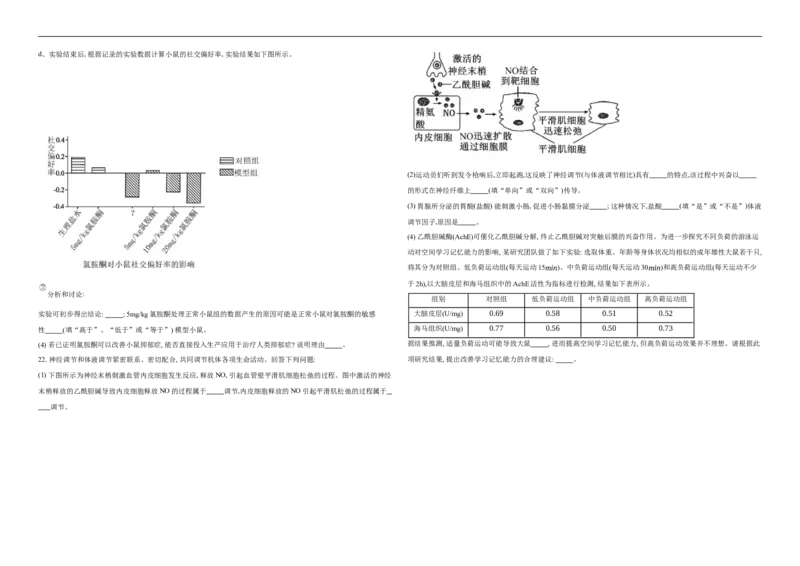 湖北省襄阳市第四中学2025-2026学年高二上学期11月期中生物试题（含解析）_251204湖北省襄阳市第四中学2025-2026学年高二上学期11月期中（全）