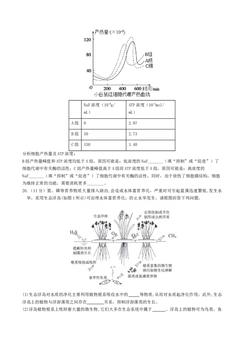 甘肃省兰州第一中学2024-2025学年高三上学期第三次诊断考试生物Word版含答案_2024-2025高三（6-6月题库）_2024年12月试卷_1227甘肃省兰州第一中学2024-2025学年高三上学期第三次诊断考试