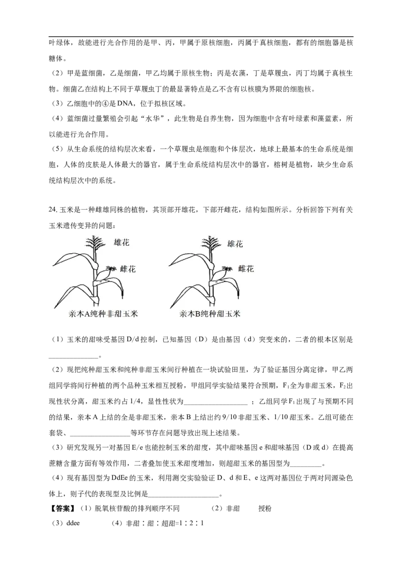 白城实验高中2025-2026学年度高二上学期第一次月考生物试卷解析_2025年10月高二试卷_251024吉林省白城市实验高级中学2025-2026学年高二上学期10月月考