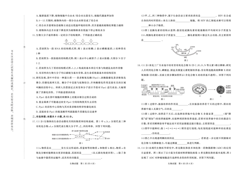 生物试题_2024-2025高二（7-7月题库）_2025年6月试卷_0601河南天一大联考2024-2025高二下阶段性测试（四）_河南天一大联考2024-2025高二下学期5月阶段性测试（四）-生物试卷+答案