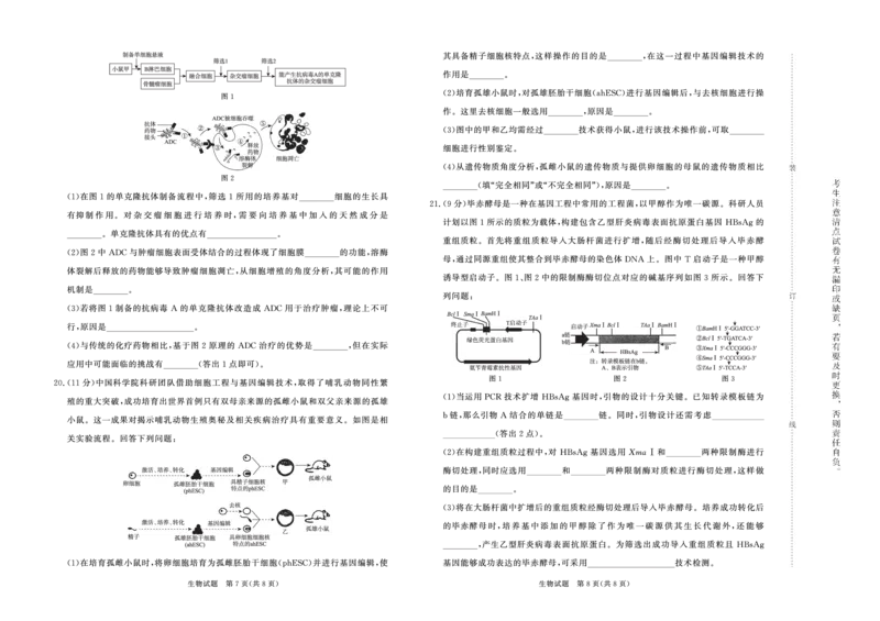 生物试题_2024-2025高二（7-7月题库）_2025年6月试卷_0601河南天一大联考2024-2025高二下阶段性测试（四）_河南天一大联考2024-2025高二下学期5月阶段性测试（四）-生物试卷+答案