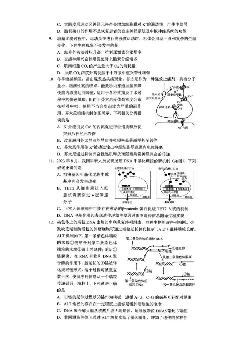 2026年重庆市普通高中学业水平选择性考试高考模拟调研卷（一）生物+答案_2024-2026高三（6-6月题库）_2026年01月高三试卷