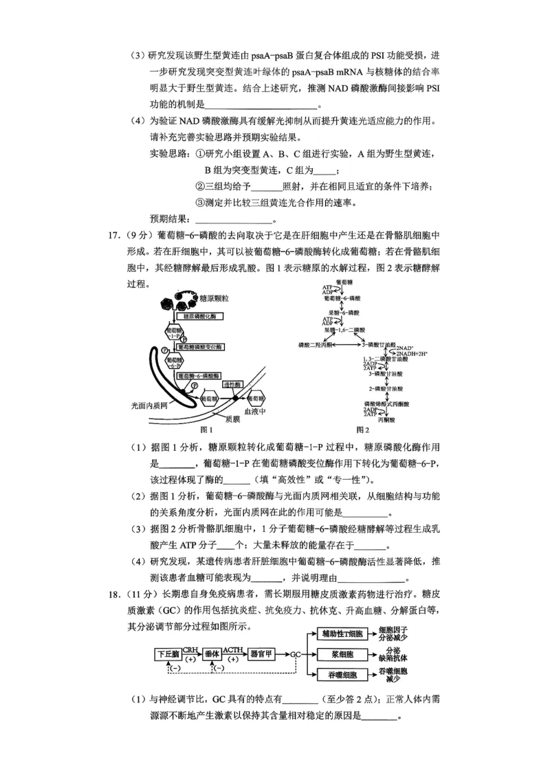 2026年重庆市普通高中学业水平选择性考试高考模拟调研卷（一）生物+答案_2024-2026高三（6-6月题库）_2026年01月高三试卷