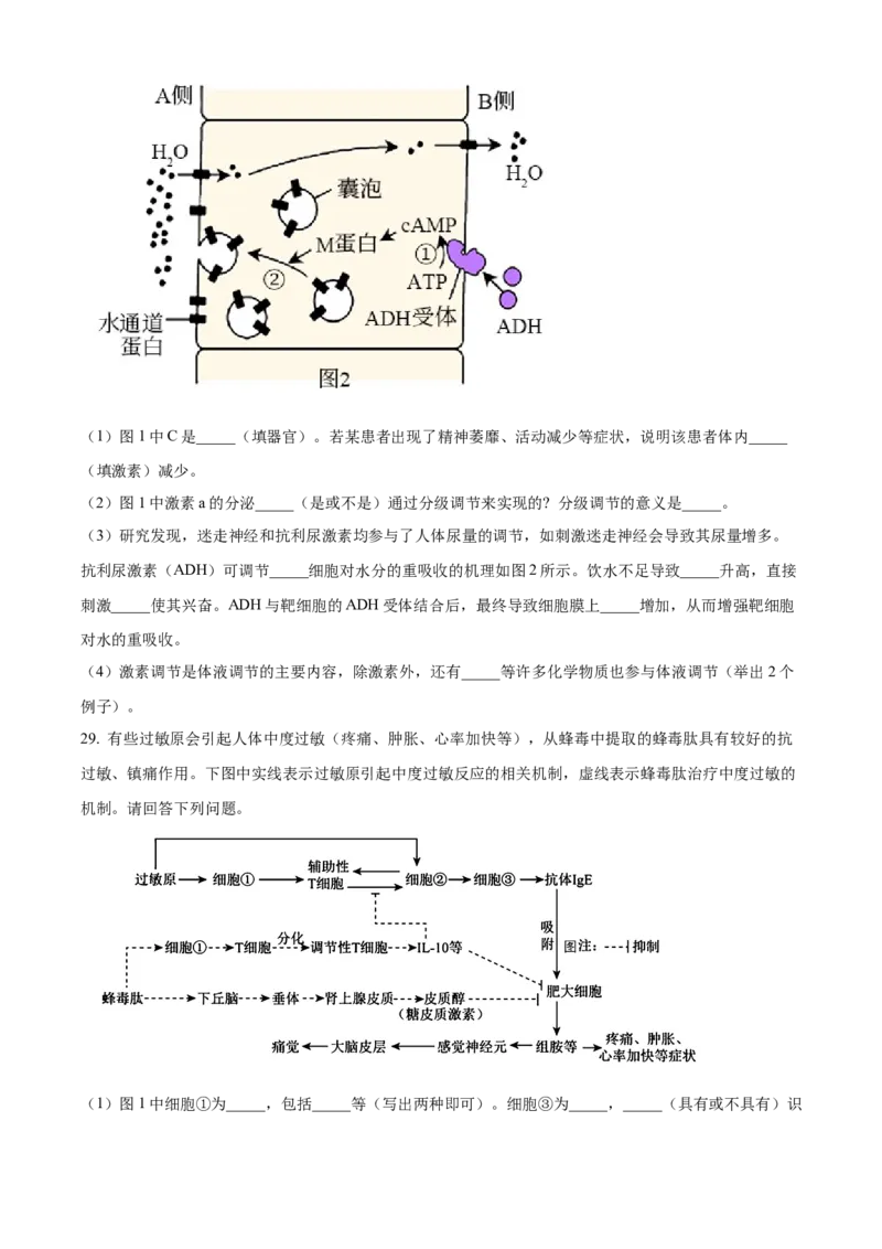 黑龙江省哈尔滨市第三中学2024-2025学年高二上学期期中生物试卷Word版无答案_2024-2025高二（7-7月题库）_2024年12月试卷_1216黑龙江省哈尔滨市第三中学2024-2025学年高二上学期期中