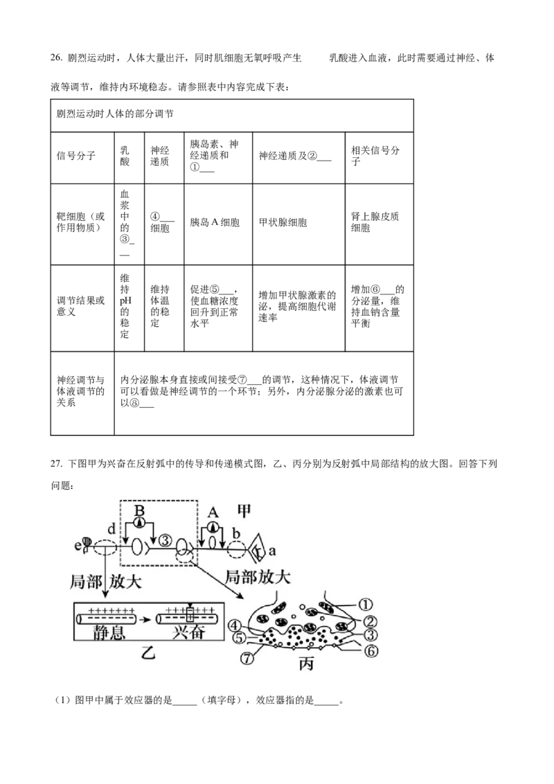 黑龙江省哈尔滨市第三中学2024-2025学年高二上学期期中生物试卷Word版无答案_2024-2025高二（7-7月题库）_2024年12月试卷_1216黑龙江省哈尔滨市第三中学2024-2025学年高二上学期期中