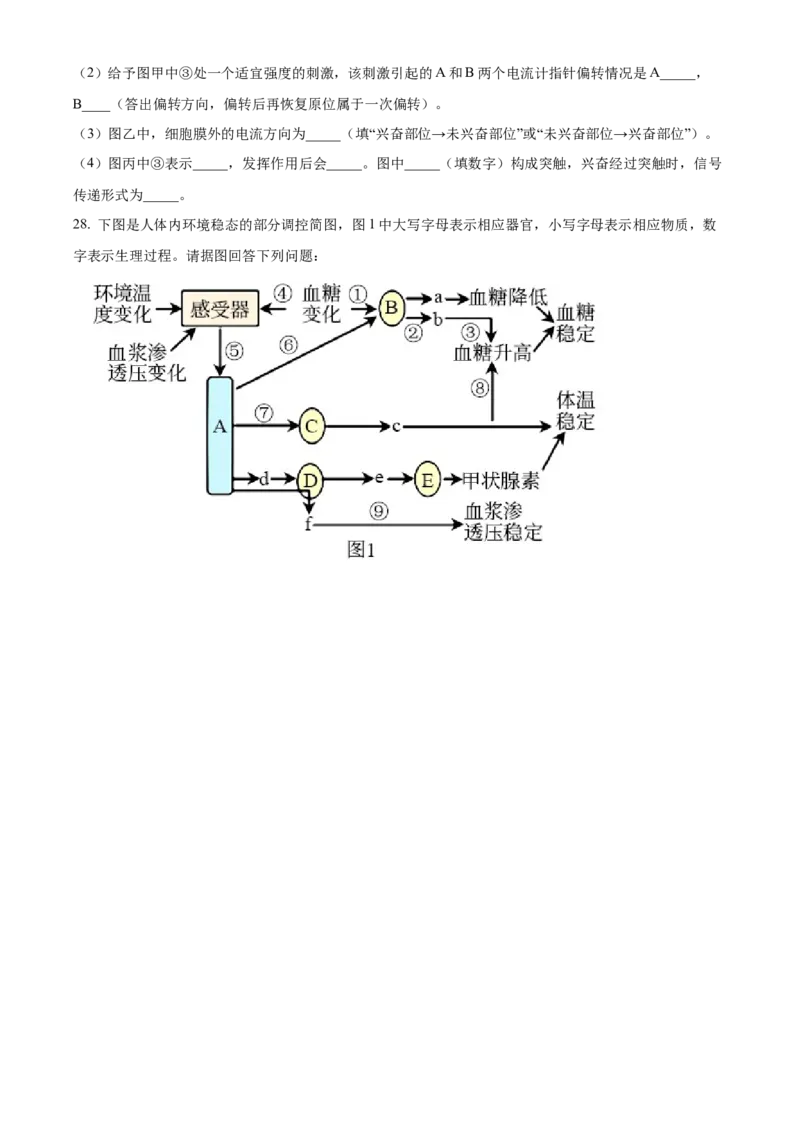 黑龙江省哈尔滨市第三中学2024-2025学年高二上学期期中生物试卷Word版无答案_2024-2025高二（7-7月题库）_2024年12月试卷_1216黑龙江省哈尔滨市第三中学2024-2025学年高二上学期期中