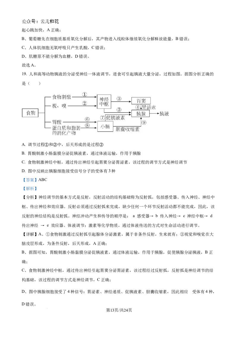精品解析：吉林省2024-2025学年高二上学期10月月考生物试题（解析版）_2024-2025高二（7-7月题库）_2024年10月试卷_1025吉林部分学校2024-2025学年高二上学期10月月考