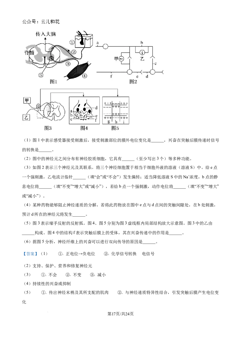 精品解析：吉林省2024-2025学年高二上学期10月月考生物试题（解析版）_2024-2025高二（7-7月题库）_2024年10月试卷_1025吉林部分学校2024-2025学年高二上学期10月月考