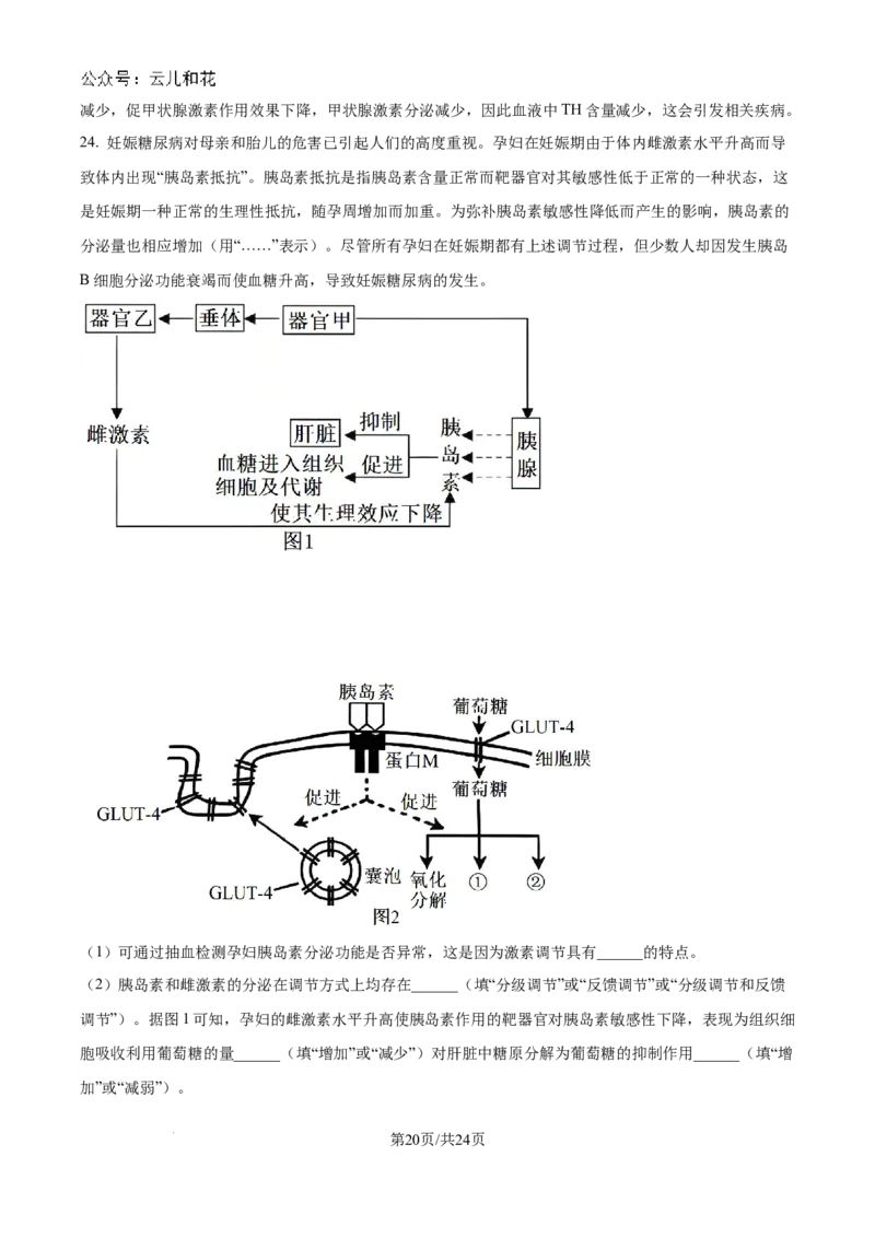 精品解析：吉林省2024-2025学年高二上学期10月月考生物试题（解析版）_2024-2025高二（7-7月题库）_2024年10月试卷_1025吉林部分学校2024-2025学年高二上学期10月月考