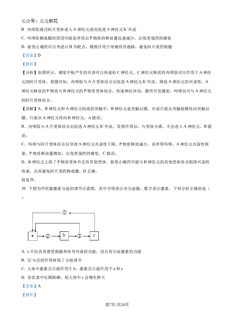 精品解析：吉林省2024-2025学年高二上学期10月月考生物试题（解析版）_2024-2025高二（7-7月题库）_2024年10月试卷_1025吉林部分学校2024-2025学年高二上学期10月月考